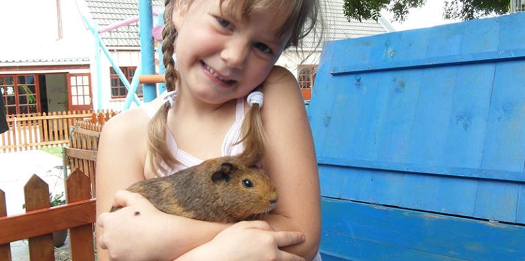 Capri Preprimary School Pets