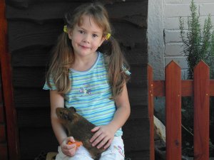 Capri Preprimary School Pets